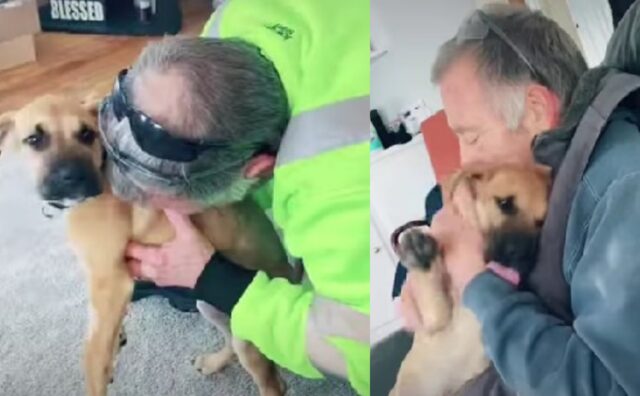 Il burbero papà di questa famiglia non voleva cani in casa, ma alla fine ha ceduto alla tenerezza