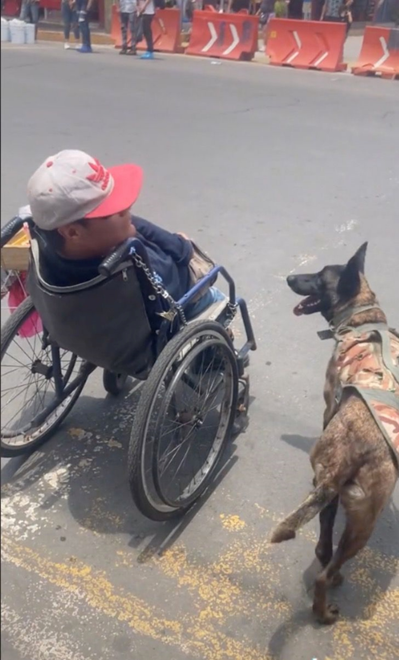 cane e uomo disabile