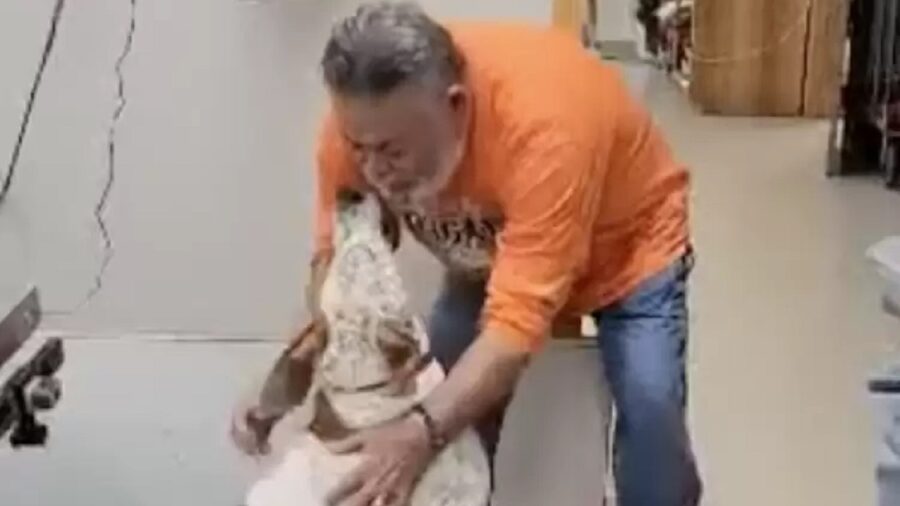 Lascia il suo cane in canile senza volerlo