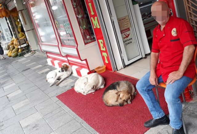 L’uomo conserva gli avanzi del suo locale e li dona ai cani randagi, che fanno la fila di fronte al suo negozio