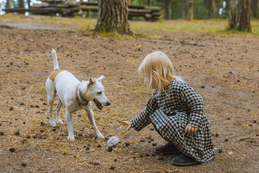 scegliere cani ideali per bambini 