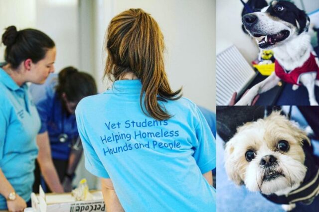 Veterinaria visita gratuitamente i cani dei senzatetto