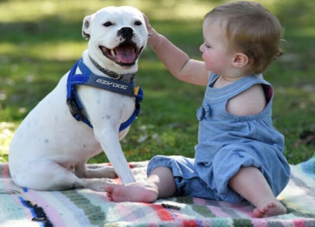 La bambina nata con un braccio ha trovato la sua anima gemella: è un cane a tre zampe