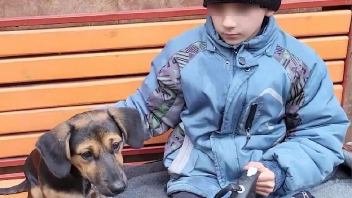 Rimanere Soli Dopo La Morte Dei Genitori Bimbo ucraino di 8 anni salvato dal cane: morti i genitori