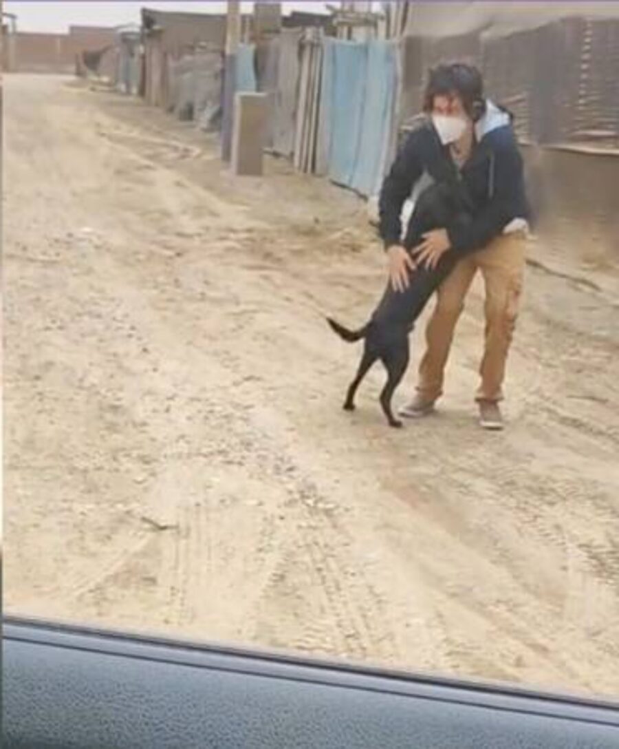 coppia adotta un cane