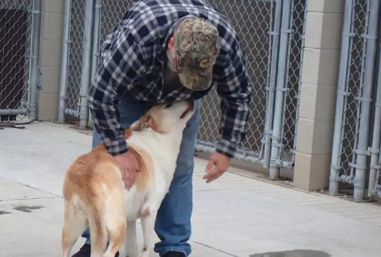 Roscoe e il suo papà umano