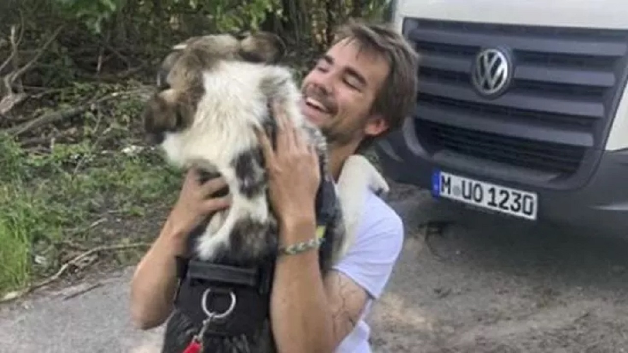 Cane ucraino di nome Koda