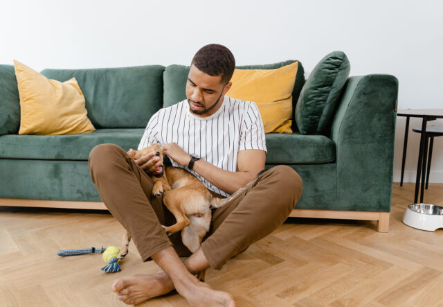 Quali domande fare all’allevatore prima di prendere un cane?