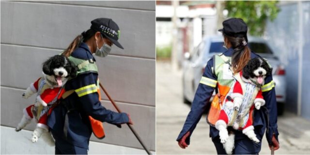 Una donna pulisce ogni giorno le strade dai rifiuti in compagnia del suo tenero cane: sono inseparabili