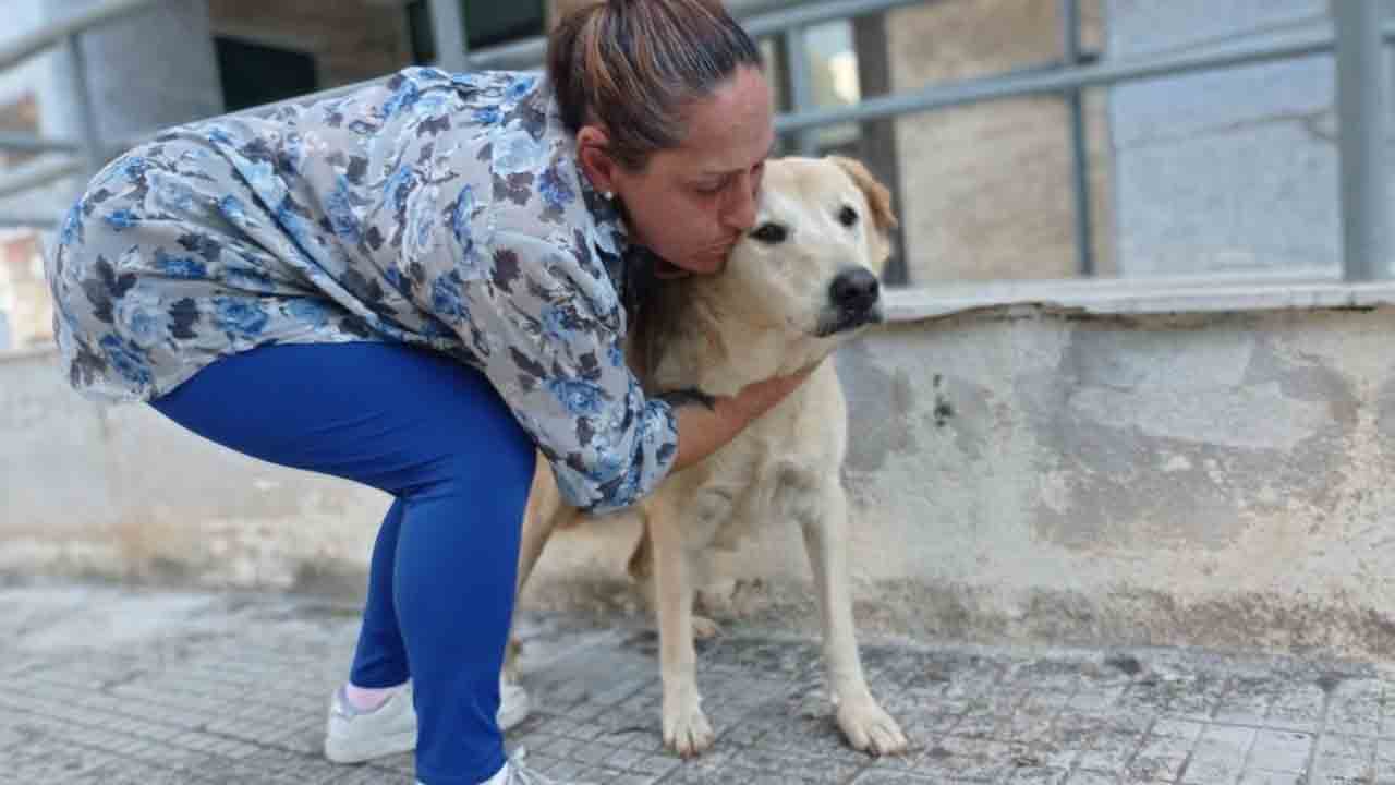 cane di nome Luna