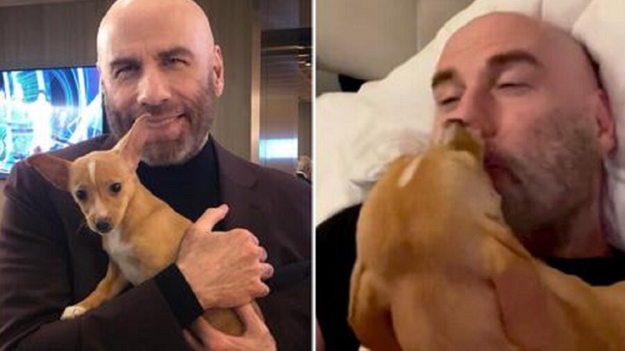 Peanut, cane di John Travolta