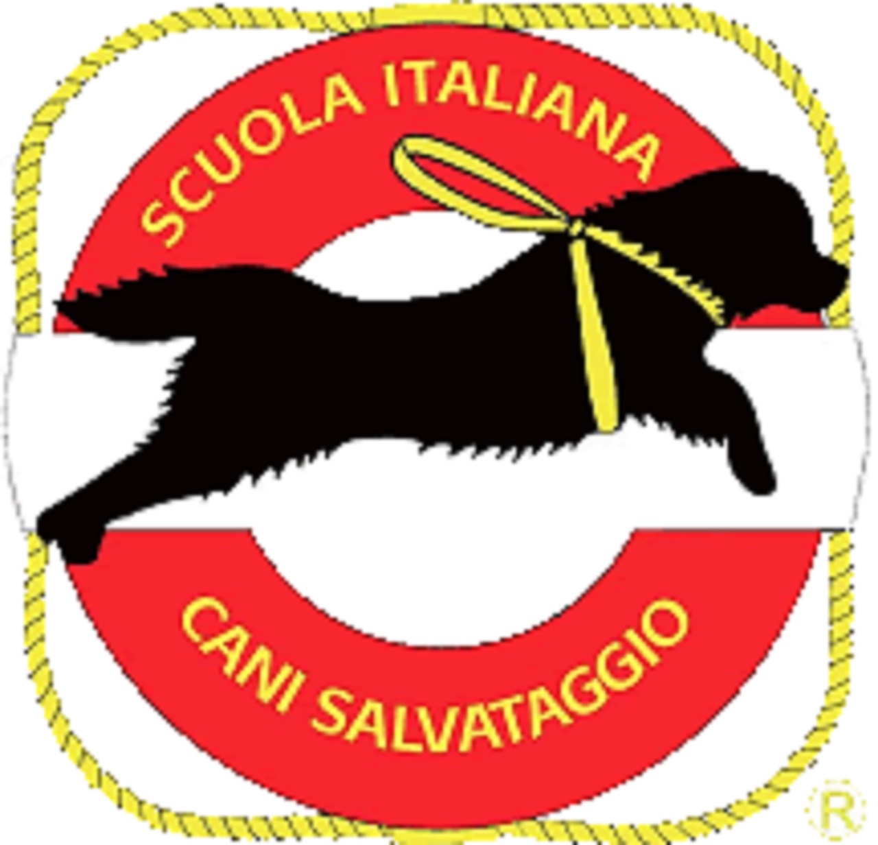 cane di salvataggio Sics