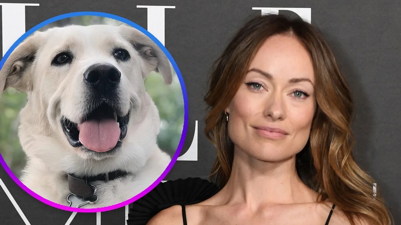 Olivia Wilde e il suo cane