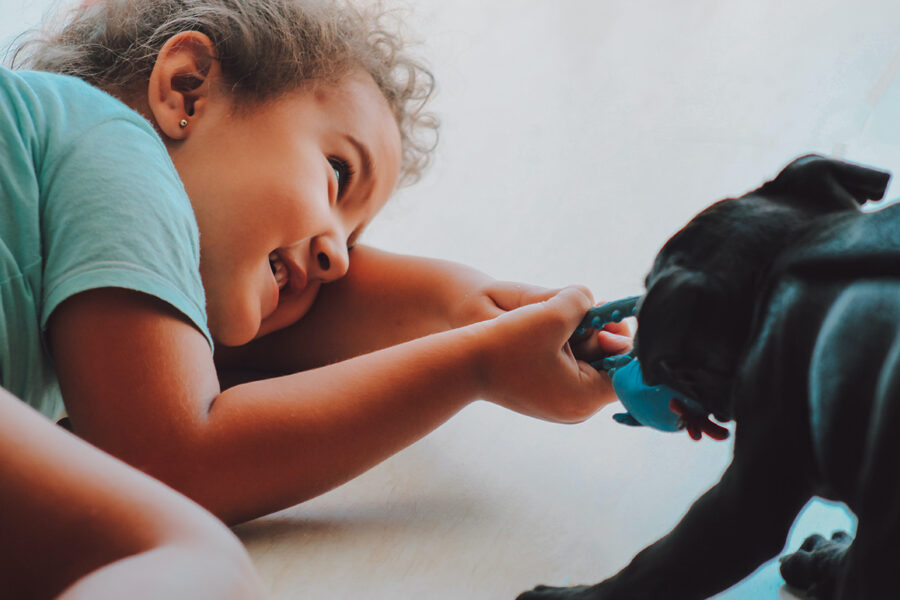 scegliere cani per bambini piccoli