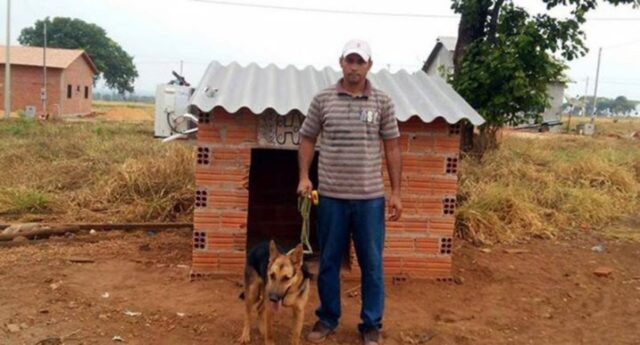 L’uomo installa un esclusivo sistema di aria condizionata per il suo cane, che stava morendo di caldo