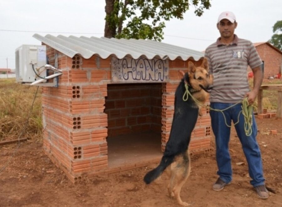 un uomo salva il cane dal caldo