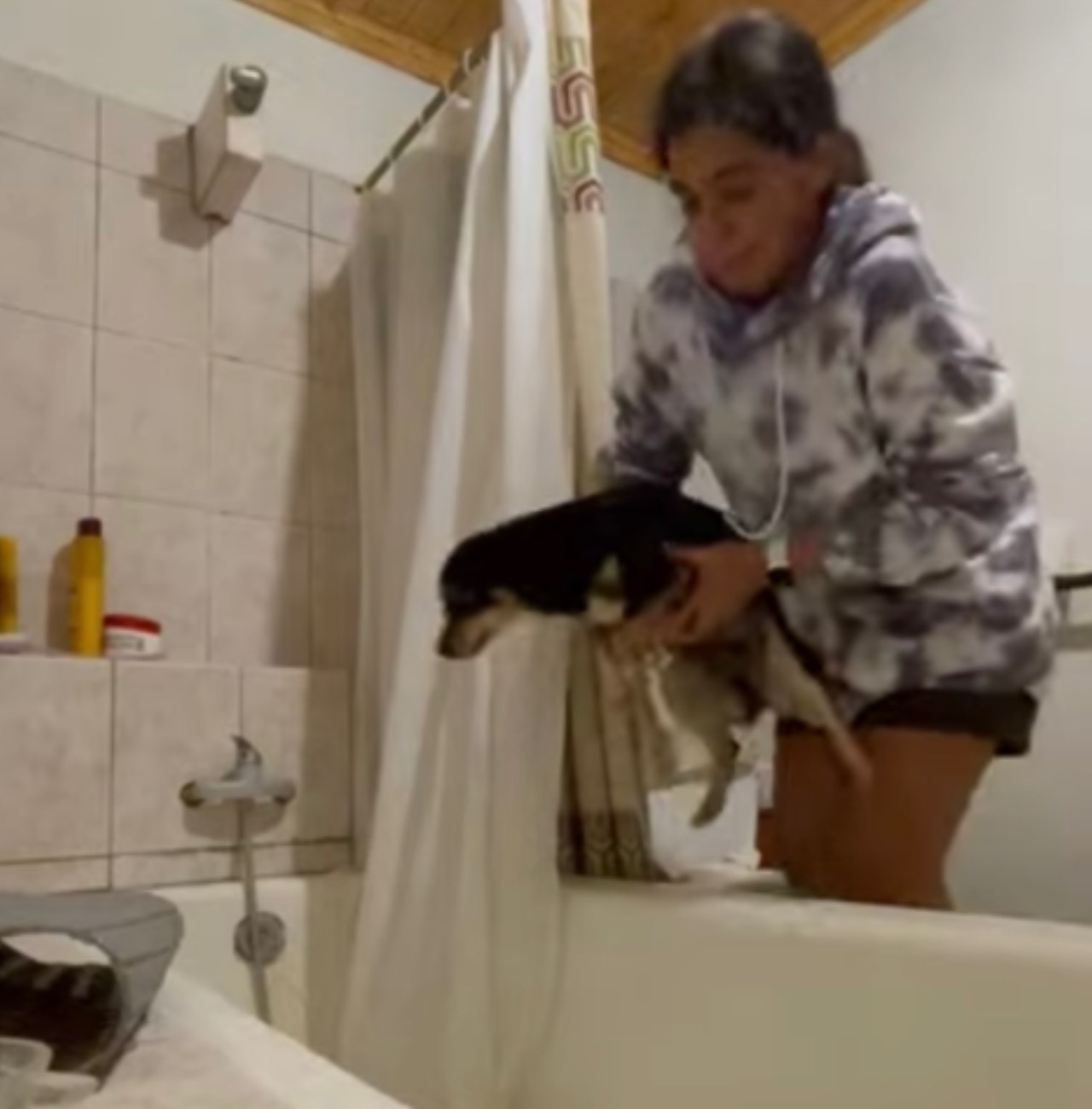 Il cane non ama farsi il bagno
