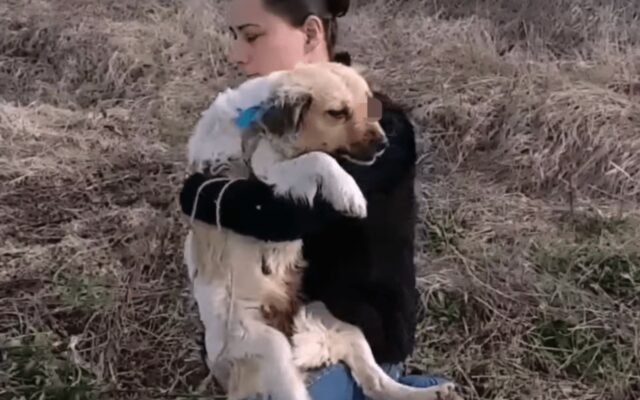 cagnolina salvata da una soccorritrice