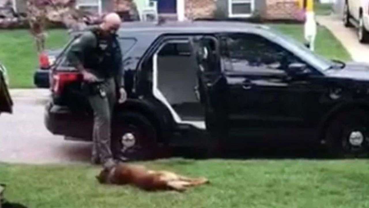 poliziotto ed il suo cane