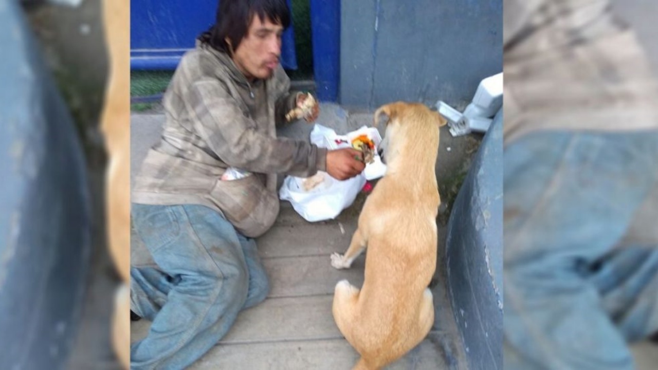 cane e senzatetto