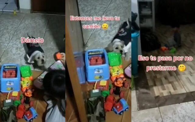 Il bimbo non vuole prestare i giocattoli al suo cane e lui si vendica rubandogliene uno