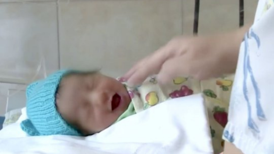 neonato salvato da un Jack Russel in Russia