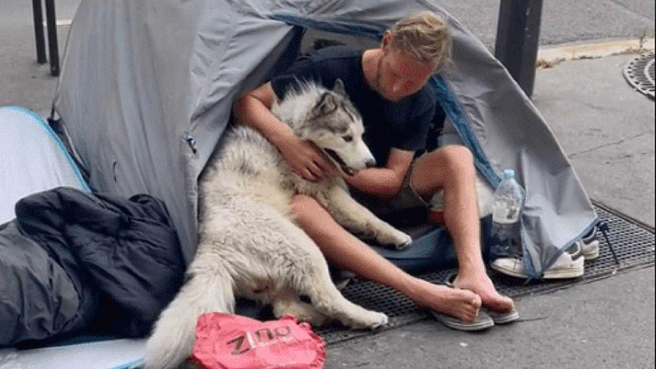 La cagnolina gioca con un senzatetto