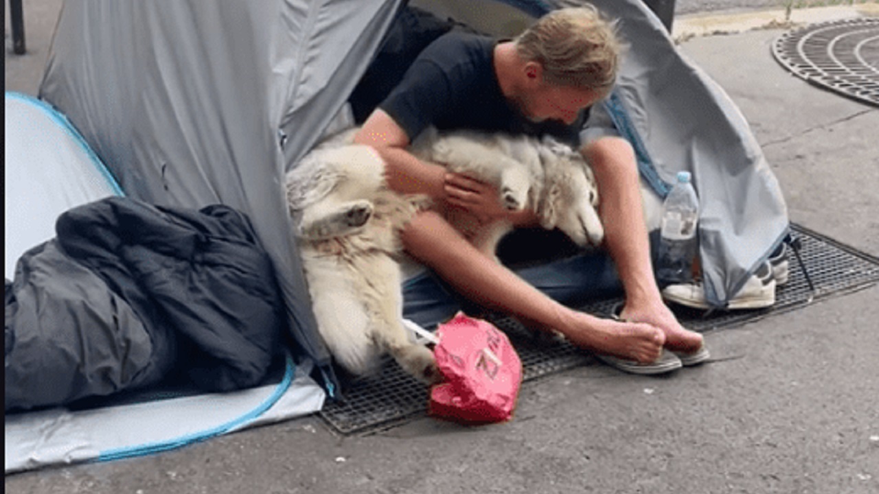 La cagnolina stesa tra le braccia di un senzatetto