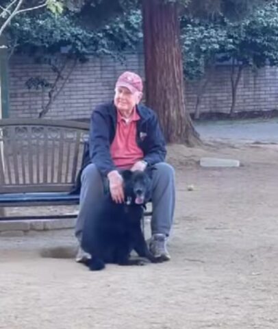 La donna trova il suo cane insieme a uno sconosciuto al parco: si faceva coccolare