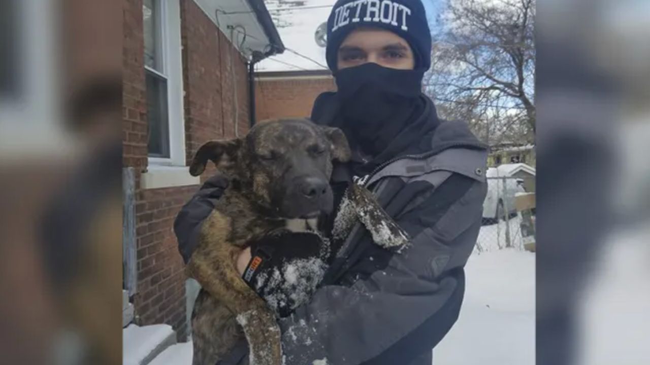 Cane salvato dal vicino