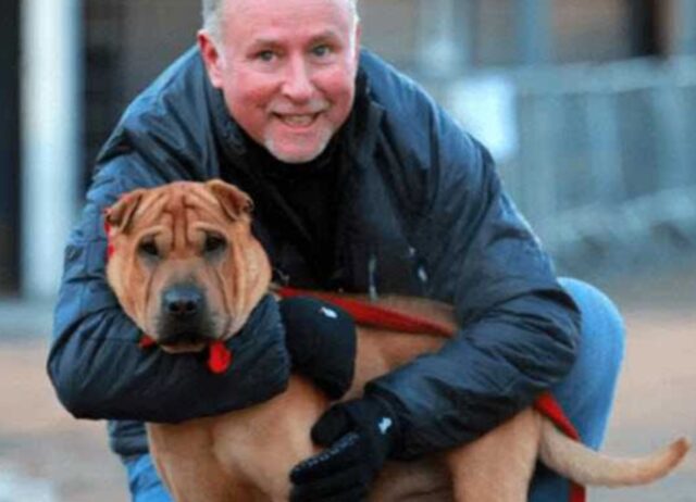 Lo hanno abbandonato alla stazione, con una valigia piena delle sue cose: il cane ha subito un alto tradimento