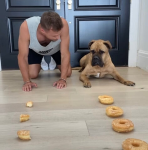 L’uomo e il suo cane fanno una “gara di ciambelle”: chi vincerà?