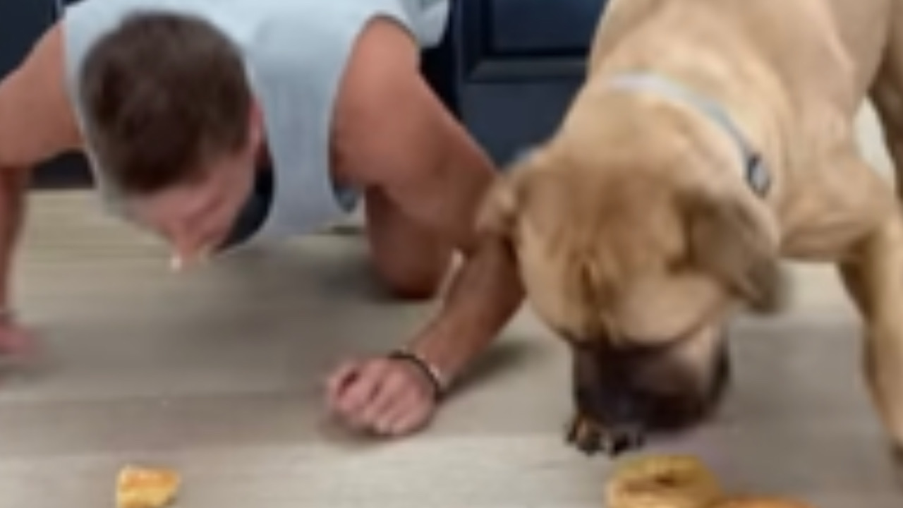 Un uomo e il cane mangiano le ciambelle
