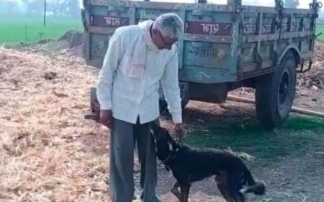 L’uomo eredita una proprietà, ma la lascia al suo cane: “Mi ama più dei miei stessi figli”