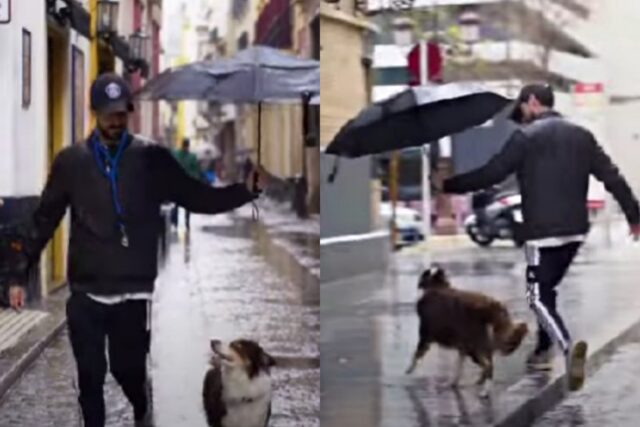 L’uomo preferisce riparare il suo amico a quattro zampe con l’ombrello. E il cane ne è felice