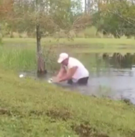 L’uomo si lancia in un lago per salvare il cagnolino che stava per essere divorato da un alligatore