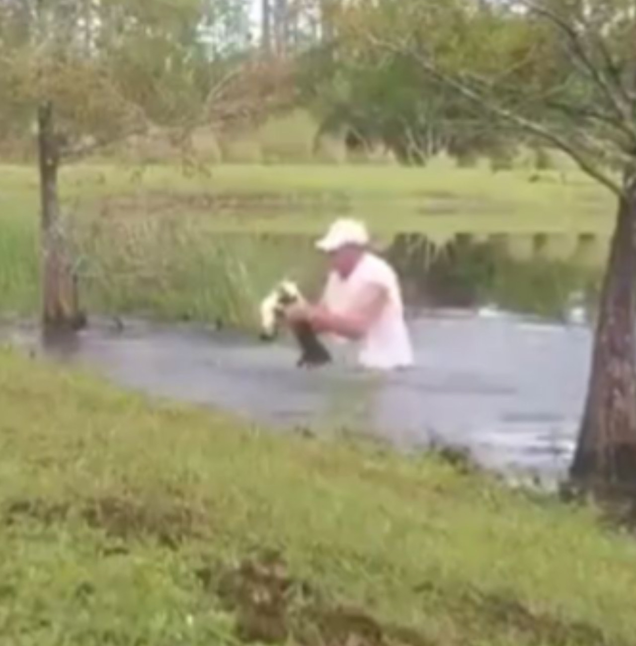 Uomo solleva il cagnolino salvato dal coccodrillo