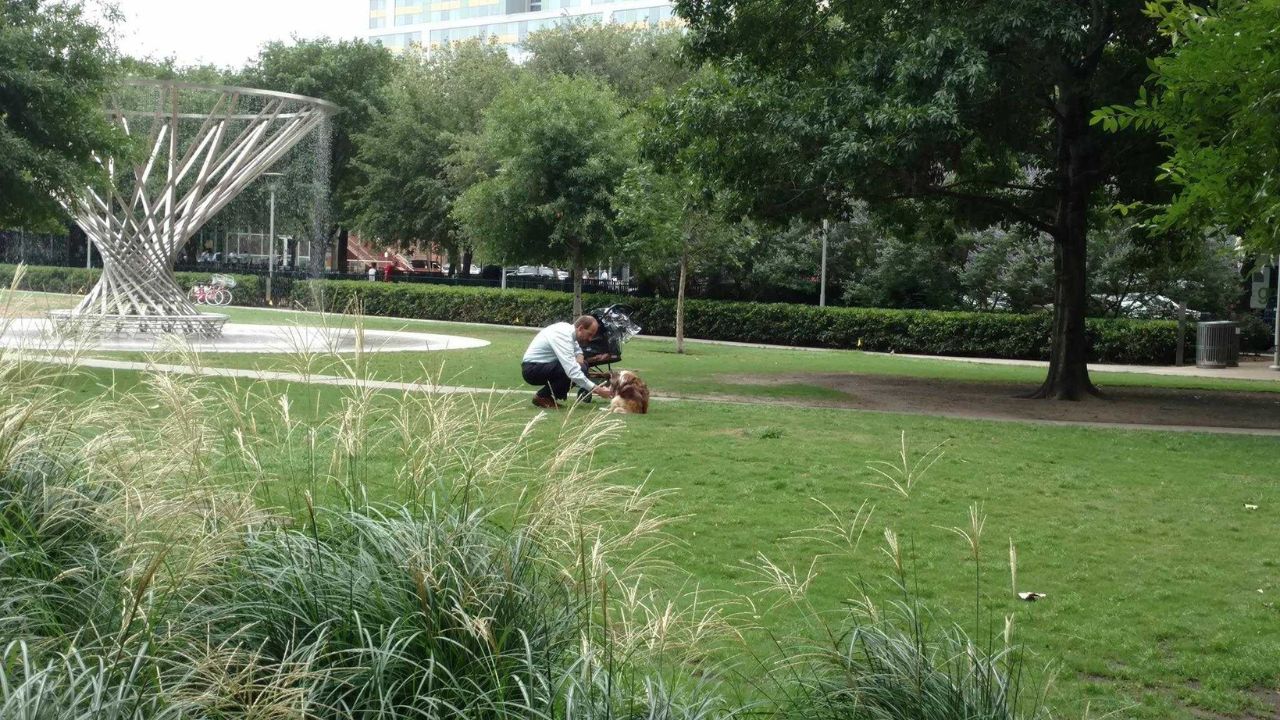 padrone tira fuori il cane dal passeggino