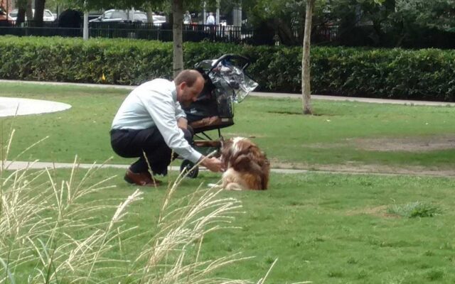 L’uomo tira fuori il suo cane dal passeggino, credendo che nessuno li stia guardando