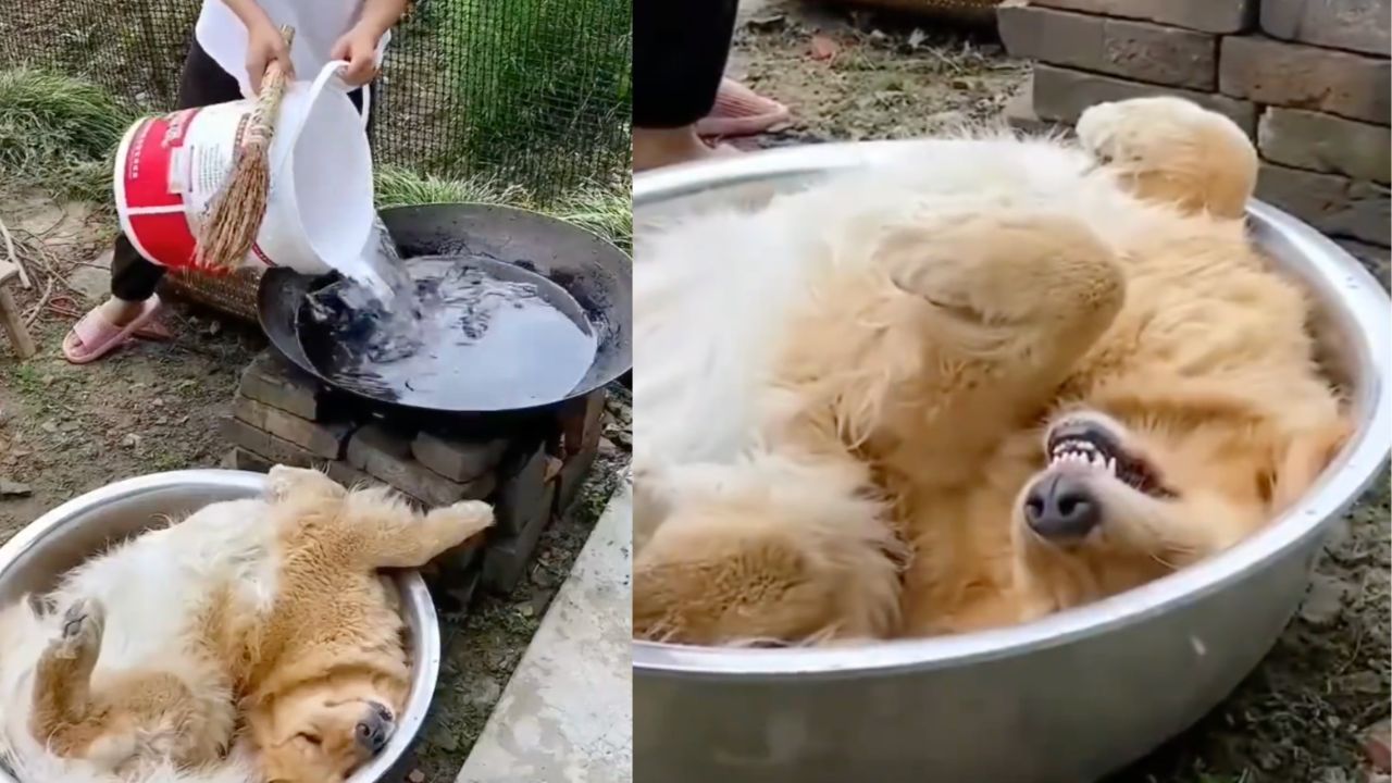 Un bagno caldo rilassante grazie alla padrona