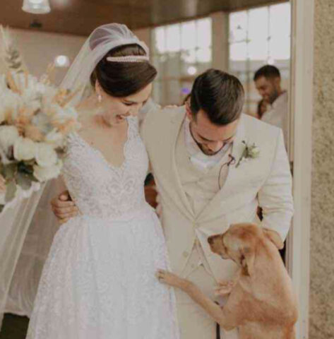 Un cane randagio si infiltra a un matrimonio: i due sposini non possono fare altro che adottarlo