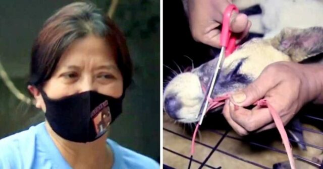 Una donna vede piangere un cucciolo in gabbia, destinato al commercio di carne di cane
