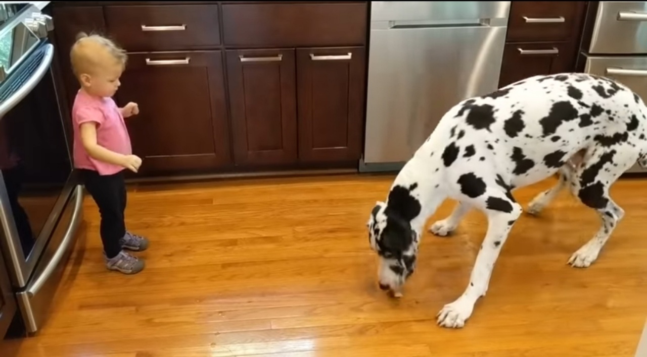 bambina e cagnolino