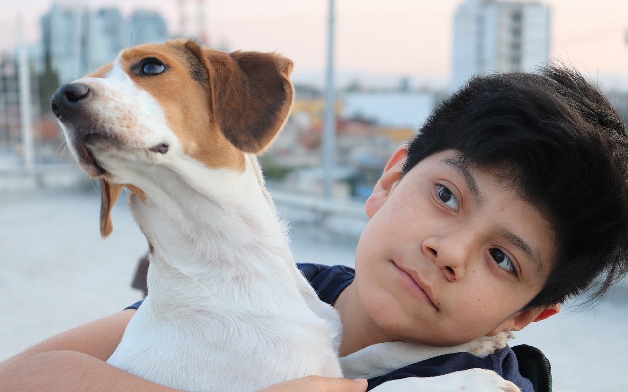 cane in braccio a un bambino