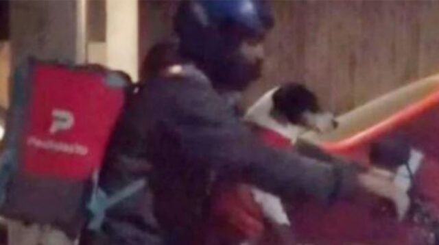 Il cagnolino accompagna sempre il suo padrone, un fattorino, durante le sue corse di lavoro