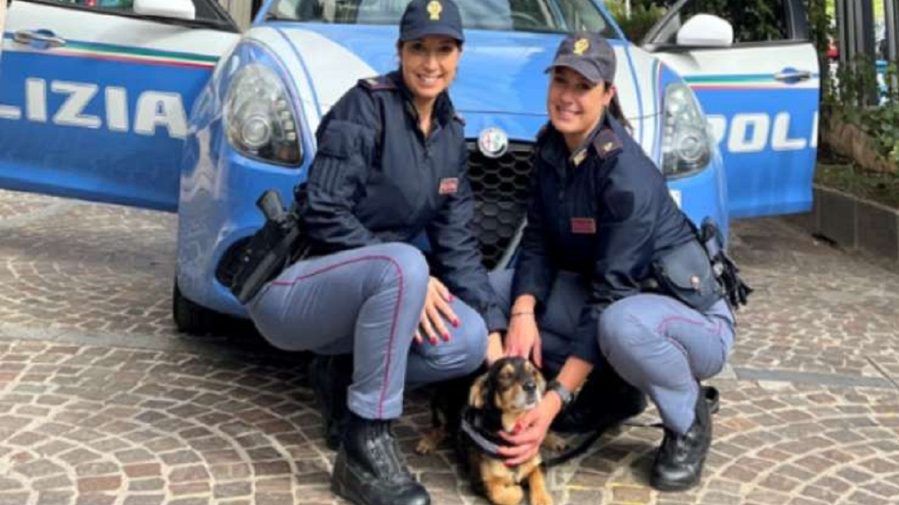 due poliziotte e un cane