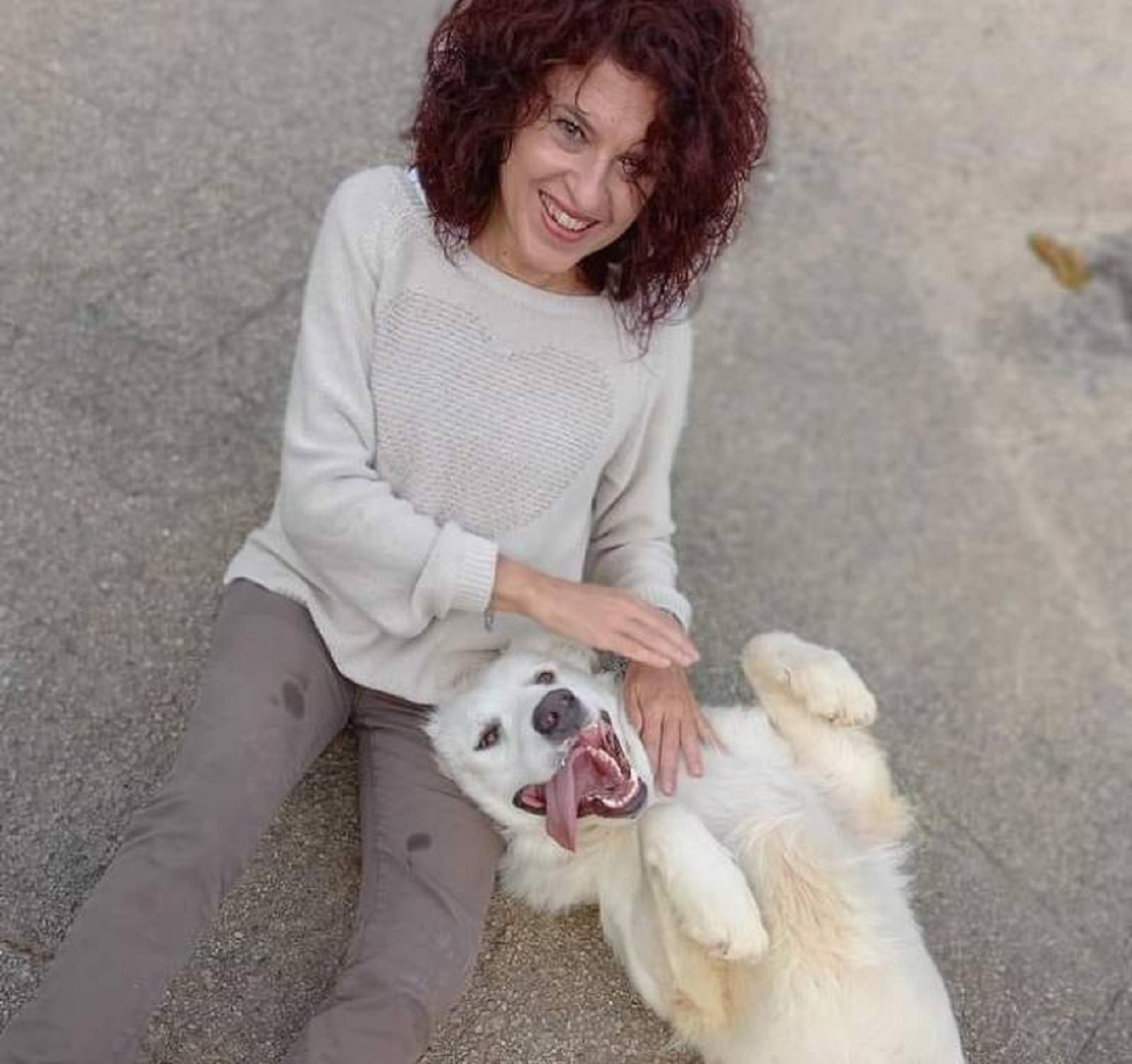 Furio il cane abbandonato