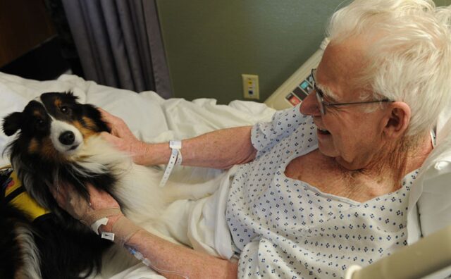 anziano signore e cane in ospedale