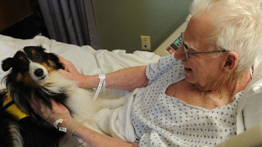 cane insieme al suo papà