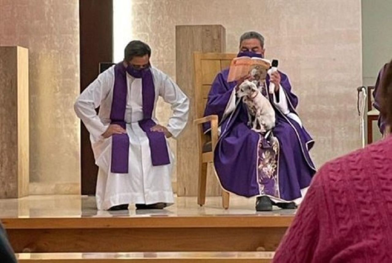 sacerdote recita la messa con il cane in  braccio